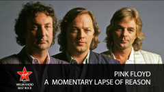 Pink Floyd - A Momentary Lapse Of Reason (Remixed & Updated) - con Massimo Cotto