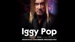 Iggy Pop, rimandato il concerto a Mantova. Nuova data il 30 agosto