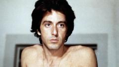 La storia di quando Al Pacino rifiutò il ruolo di Han Solo in Star Wars!