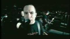 Millencolin - Penguins And Polarbears
