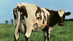 Pink Floyd, annunciata la nuova edizione speciale di Atom Heart Mother. Tutti i dettagli