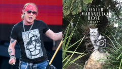 Guns N' Roses, Axl Rose ringrazia i fan per l’affetto ricevuto dopo la scomparsa del suo gattino Dexter Maranello Rose