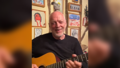 Coronavirus, David Gilmour e le prove in cucina in quarantena con un pulcino in testa. Guarda il video