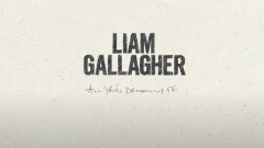 Liam Gallagher ha pubblicato il nuovo brano natalizio All You're Dreaming Of. Tutto il ricavato andrà in beneficenza