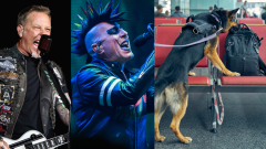 Metallica e Tool stanno usando cani da fiuto per identificare le persone positive al Covid-19 durante i concerti