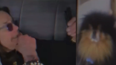 Ozzy Osbourne ha videochiamato il suo cane. Guarda il video pubblicato dal figlio Jack