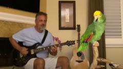 Il pappagallo che canta i Led Zeppelin, Beatles, Guns N' Roses e Bon Jovi! Guarda il video