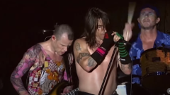 Red Hot Chili Peppers: il concerto integrale del Lollapalooza 2001 per i fan in quarantena. Guardalo qui in streaming