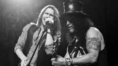 Slash e il dolce significato del singolo Fill My World: "parla dell'amore che Myles prova per il suo cagnolino". Guarda il video