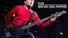 Flea e Geddy Lee tra i migliori bassisti della storia