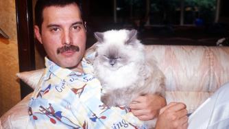 Queen, l'ultimo desiderio chiesto da Freddie Mercury ai suoi amici prima di morire