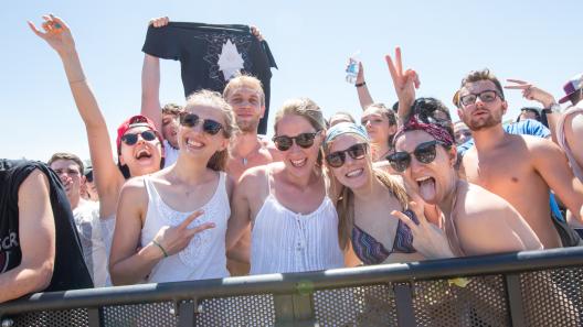 Facce da Linkin Park + Blink-182 + Sum 41