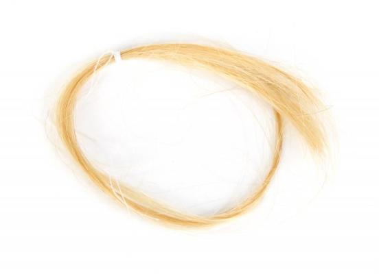 Ciocca di capelli di Kurt Cobain