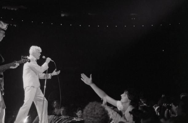 David Bowie